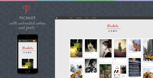 picshot-blogspot-template-fotografia