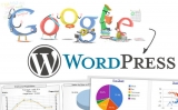 Come inserire i risultati adsense per la ricerca in una pagina wordpress