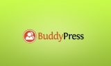 I migliori temi per community su WordPress con BuddyPress