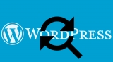 Cerca e Sostituisci su WordPress: fare modifiche di massa