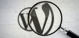 WordPress: includere i Custom Post Type nei risultati di ricerca