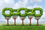 Cosa sono i link naturali ed i link artificiali o innaturali