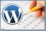 Come mostrare articoli di una o alcune categorie in Home WordPress