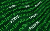 I rischi dei temi nulled e template crackati